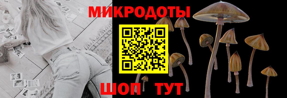Галлюциногенные грибы прущие грибы  Вход с VPN  Омск  Галлюциногенные грибы GOLDEN TEACHER 